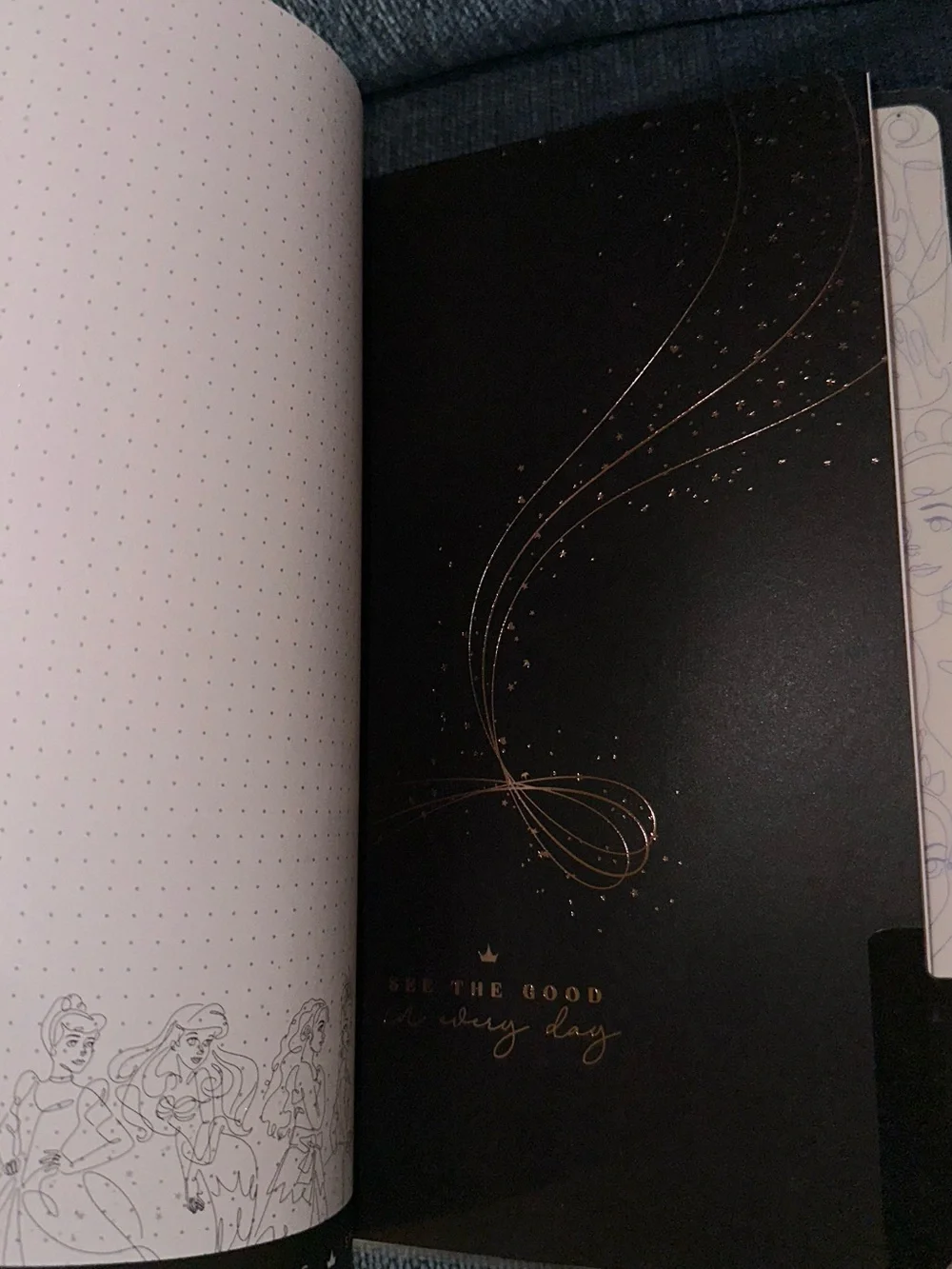 READ DESCRIPTION The Happy Planner Princess Guided Wellness Journal Classic Size